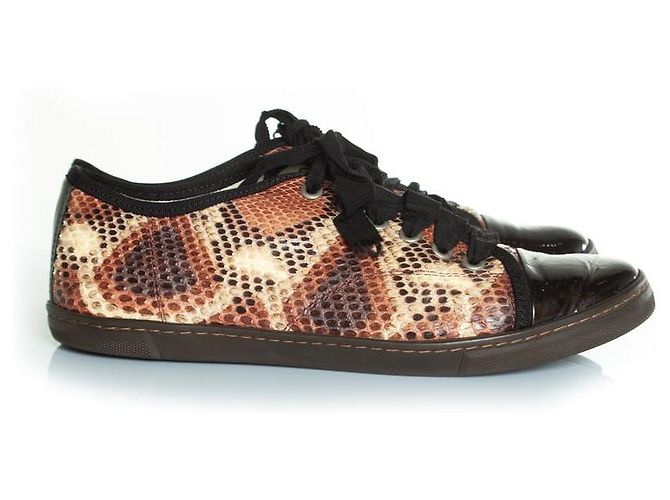 Lanvin, baskets en python avec bout en cuir verni Marron Noir - vue 5