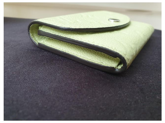 Louis Vuitton Carteira Rosalie Monogram Empreinte Couro Verde - vista 11