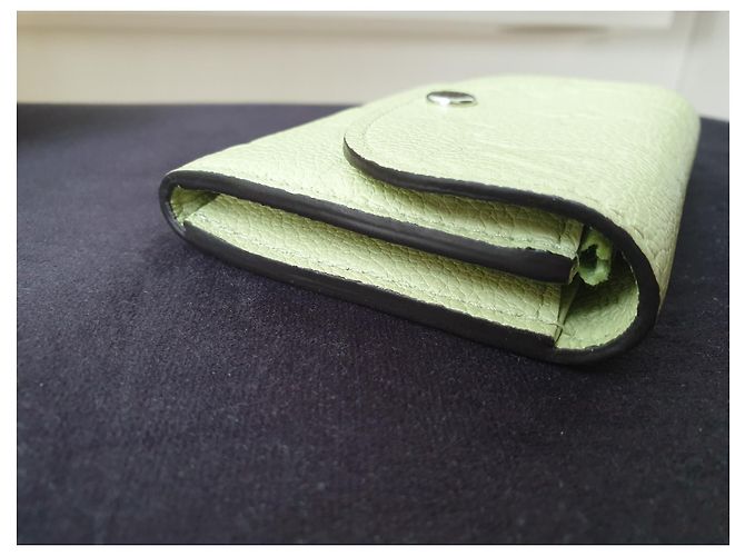 Louis Vuitton Carteira Rosalie Monogram Empreinte Couro Verde - vista 12
