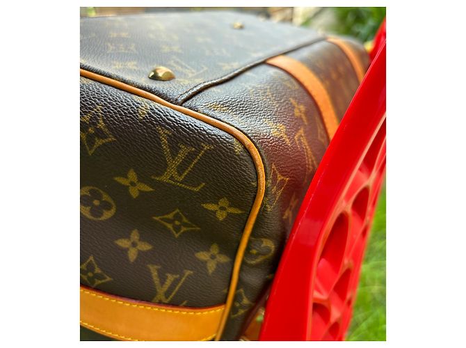 Borsa Louis Vuitton Carryall Marrone scuro - vista 10