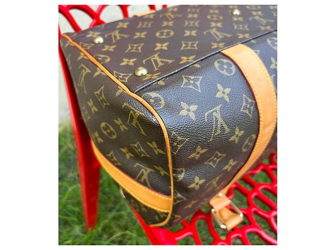 Borsa Louis Vuitton Carryall Marrone scuro - vista 11