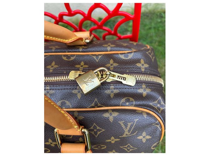 Borsa Louis Vuitton Carryall Marrone scuro - vista 5