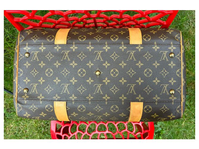 Borsa Louis Vuitton Carryall Marrone scuro - vista 8