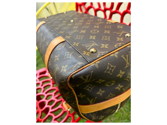 Borsa Louis Vuitton Carryall Marrone scuro - vista 9
