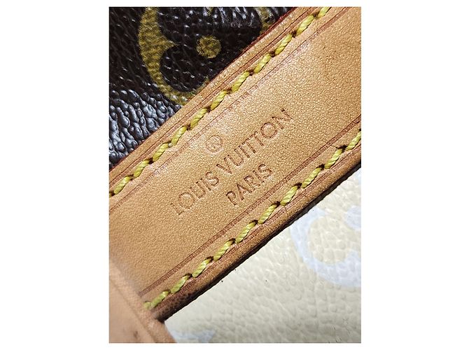 Borsa Petit Noé Monogram Rayures Edizione Limitata Louis Vuitton Marrone/Crema - vista 14