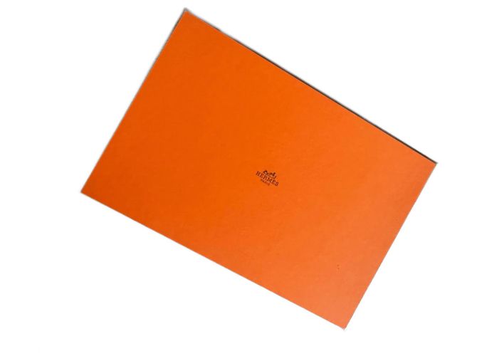 Hermès Manta Hermes Avalon III Gris - vista 2