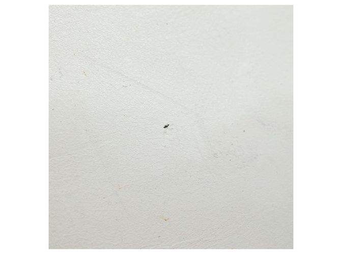 Céline Borsa a spalla CELINE in pelle bianca e argento Auth 86175 Bianco - vista 15