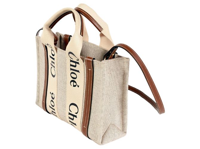 Borsa a spalla piccola Woody di Chloé Marrone Bianco - vista 2