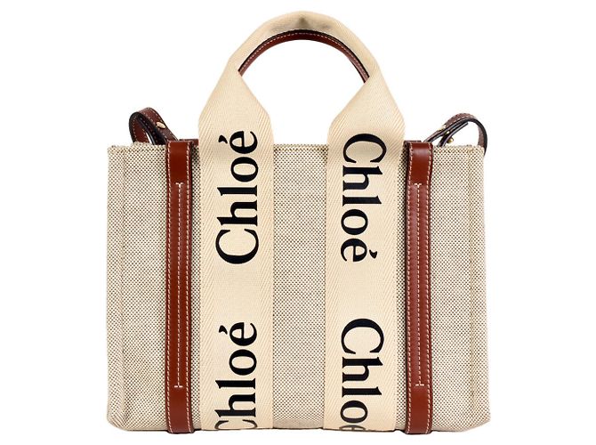 Borsa a spalla piccola Woody di Chloé Marrone Bianco - vista 3