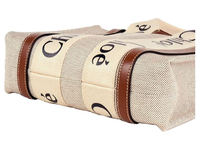 Borsa a spalla piccola Woody di Chloé Marrone Bianco - vista 4