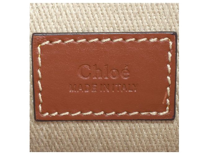 Borsa a spalla piccola Woody di Chloé Marrone Bianco - vista 6