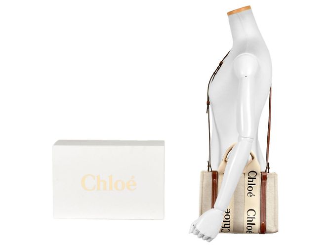 Borsa a spalla piccola Woody di Chloé Marrone Bianco - vista 8