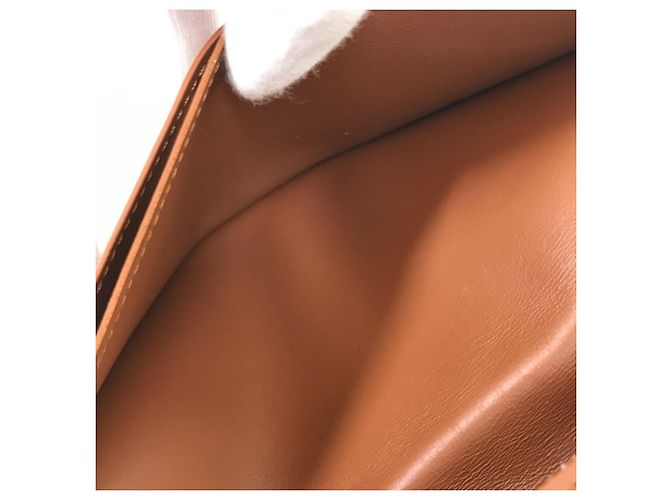 Cartera Larga Brazza NM Epi Louis Vuitton Castaño - vista 11
