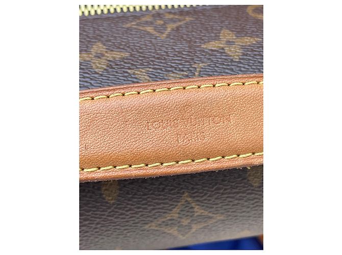 Metis Louis Vuitton Mischling Braun - Ansicht 12