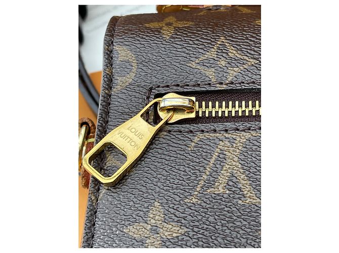 Metis Louis Vuitton Mischling Braun - Ansicht 14
