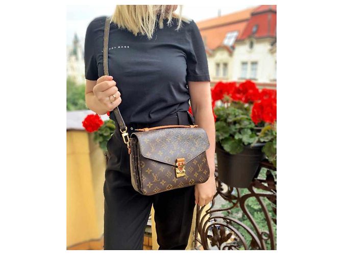 Metis Louis Vuitton Mischling Braun - Ansicht 16
