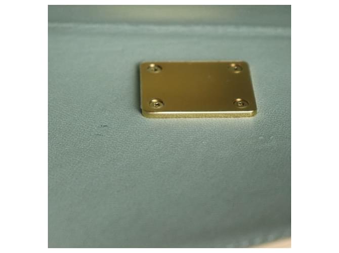 Borsa a catena lunga Loewe Goya Beige - vista 5