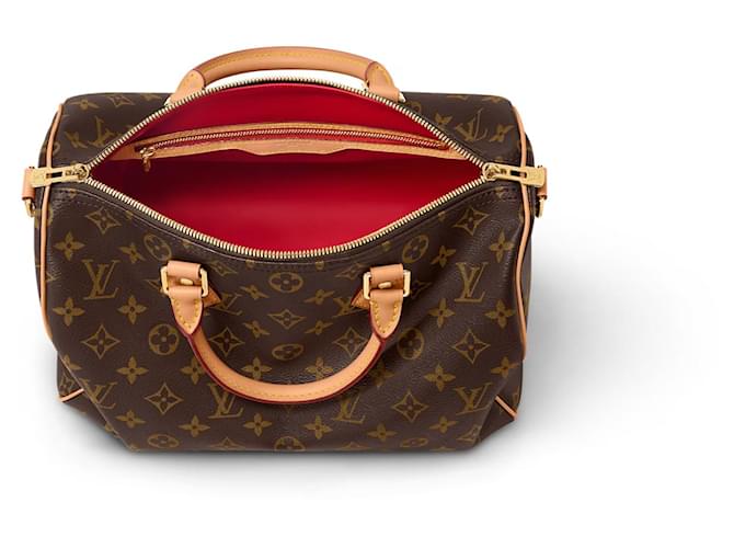 Louis Vuitton LV Speedy tela monogramma Soft 30 Marrone - vista 2