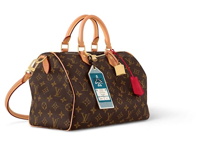 Louis Vuitton LV Speedy tela monogramma Soft 30 Marrone - vista 3