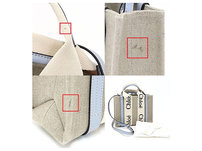 Chloé WOODY Borsa Tote Piccola Bianco Blu - vista 3