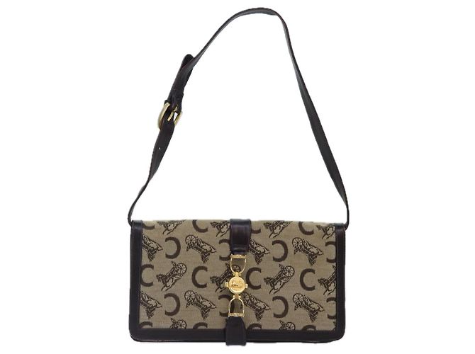 Céline BORSO A SPALLA CELINE C Saluki Tela Beige Auth 88426 - vista 13