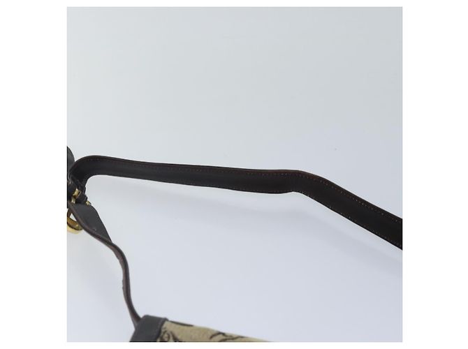 Céline BORSO A SPALLA CELINE C Saluki Tela Beige Auth 88426 - vista 14
