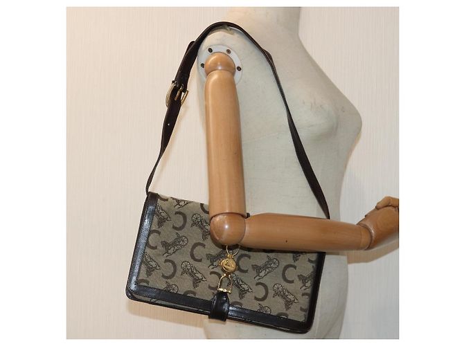 Céline BORSO A SPALLA CELINE C Saluki Tela Beige Auth 88426 - vista 25