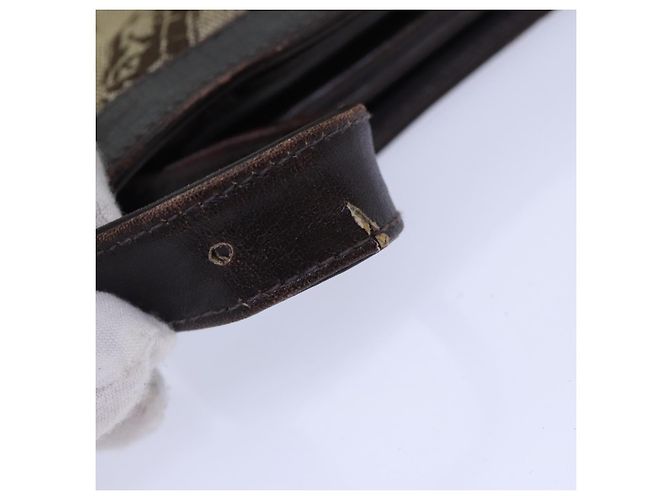 Céline BORSO A SPALLA CELINE C Saluki Tela Beige Auth 88426 - vista 9