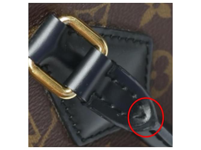 Borsa Louis Vuitton Monogram Phoenix PM Marrone - vista 8