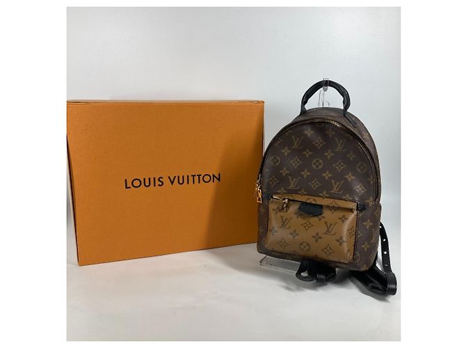 Twist Zaino Palm Springs PM Monogram Reverse Louis Vuitton Marrone Beige - vista 10