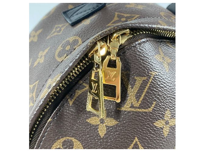 Twist Zaino Palm Springs PM Monogram Reverse Louis Vuitton Marrone Beige - vista 5