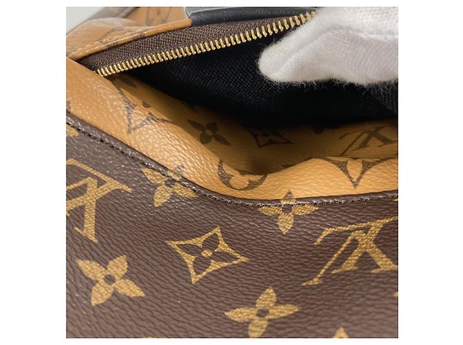Twist Zaino Palm Springs PM Monogram Reverse Louis Vuitton Marrone Beige - vista 9