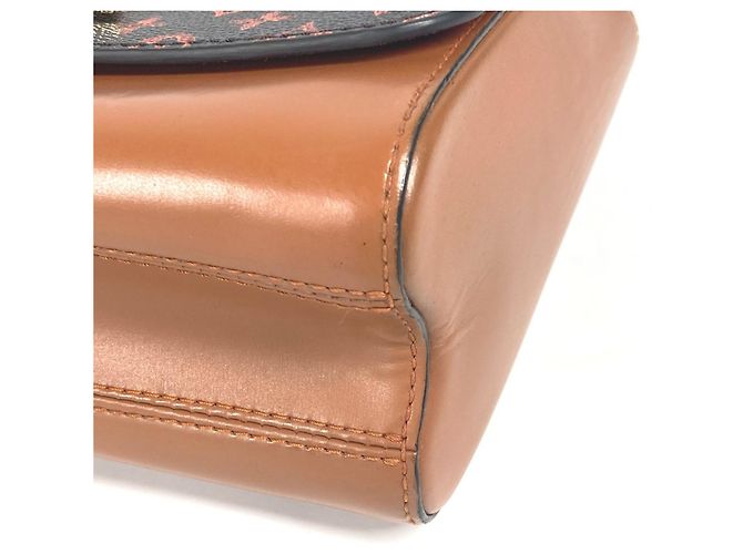 Borsa a catena Twist MM Catgram Monogram Louis Vuitton Marrone - vista 8