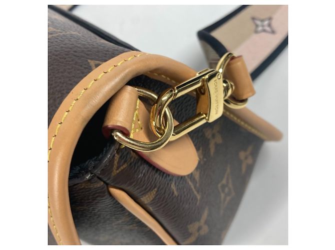 Borsa a spalla Louis Vuitton Monogram Diane NM PM Pochette Flap Marrone Nero - vista 10