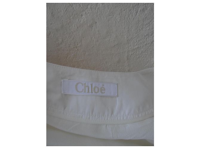Vestido Chloé Blanco de Algodón y Encaje - vista 8