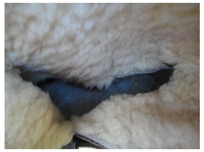 Autre Marque Dunkelbraune Lederstiefel mit Shearling Futter - Ansicht 7