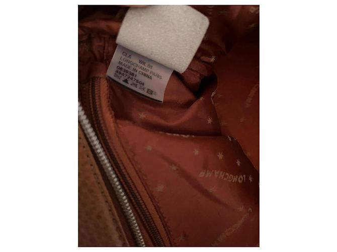 Borsa a mano Longchamp Cosmos in pelle marrone Marrone scuro - vista 9