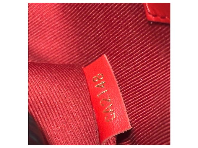 Louis Vuitton Monogram Saintonge 2018 Marrone Rosso - vista 11