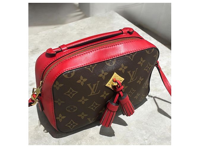 Louis Vuitton Monogram Saintonge 2018 Marrone Rosso - vista 14
