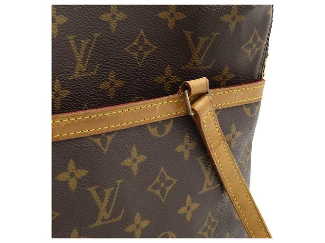 Borsa a spalla Coussin GM Monogram di Louis Vuitton Marrone - vista 8