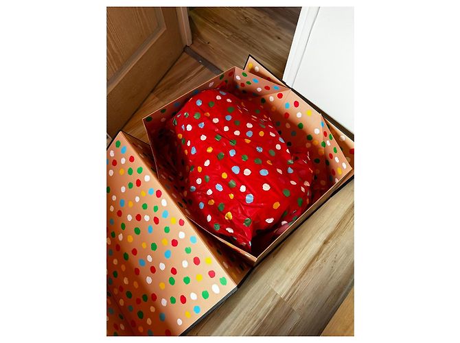 Louis Vuitton Keepall 55 Yayoi Kusama Pelle Eclipse Multicolore - vista 6