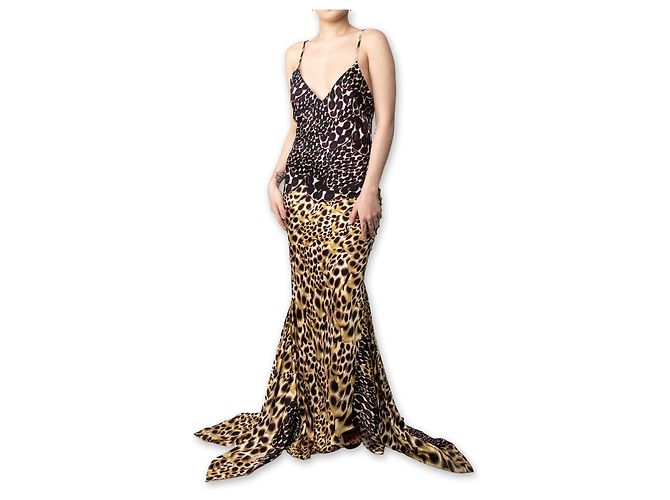 Roberto Cavalli Tierdruck Maxikleid - 2000er Mehrfarben - Ansicht 2
