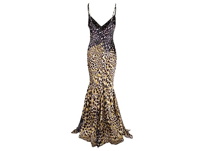 Roberto Cavalli Tierdruck Maxikleid - 2000er Mehrfarben - Ansicht 5