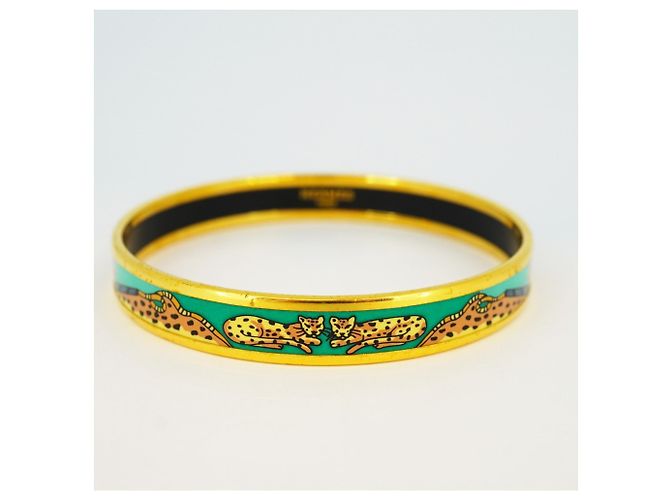 Hermès Bracciale Tiger in Smalto PM Hermes Multicolore D'oro - vista 11
