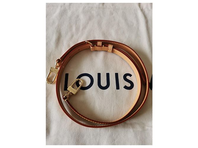 nuovo Speedy Nano di Louis Vuitton Marrone - vista 15