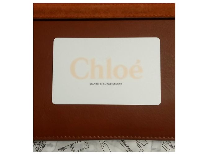 Faye Borsa Chloé Cognac in scamosciato e pelle - vista 4
