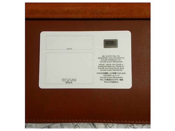Faye Borsa Chloé Cognac in scamosciato e pelle - vista 5