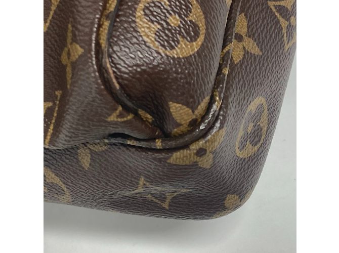 Borsa a Spalla Monogram PM Louis Vuitton Marrone Blu - vista 9