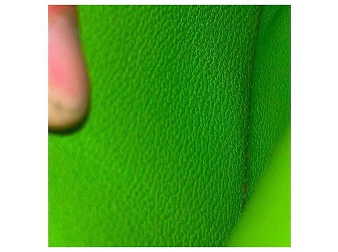 Authentic Hermès Apple Green Swift Leather Globe Trotter Agenda - view 7