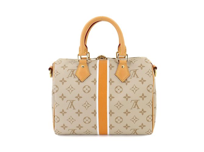 Borsa a spalla Louis Vuitton Monopanam Speedy 25 Beige - vista 2